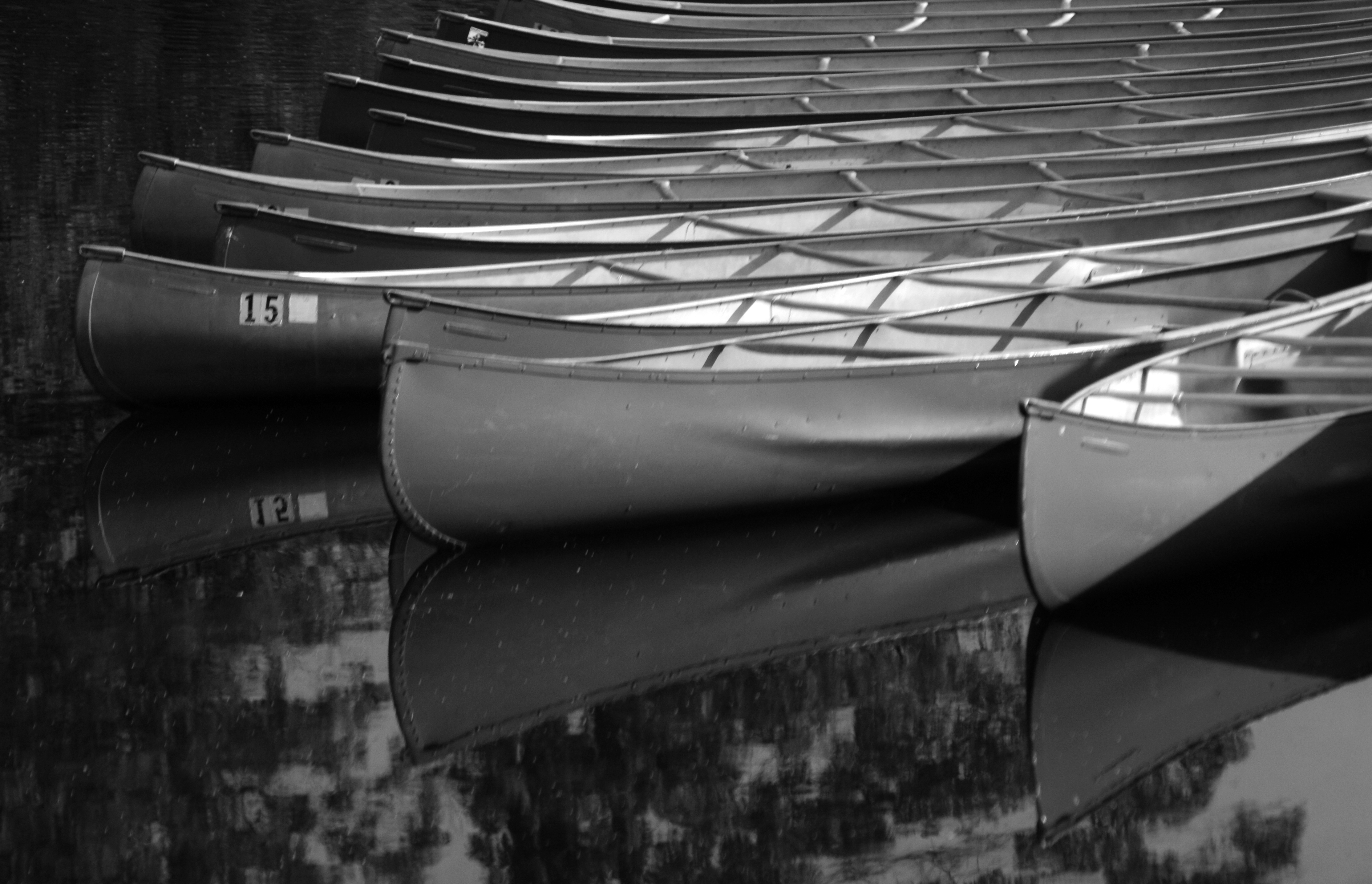 comming soon ******   pay attention *****
  It will be worth the wait ************